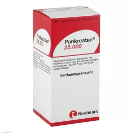 PANKREATAN 25.000 harde capsules met enterische coating, 100 stuks