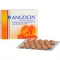 ANGOCIN Anti Infekt N Filmomhulde Tabletten, 50 Capsules