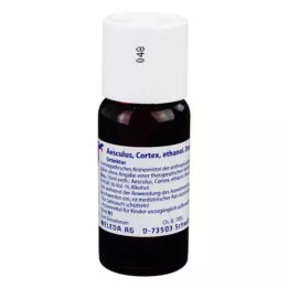 AESCULUS CORTEX Decoct. moedertinctuur D 1, 50 ml