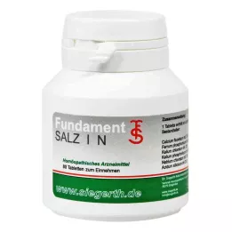 FUNDAMENT-Zout I N Tabletten, 4X80 St