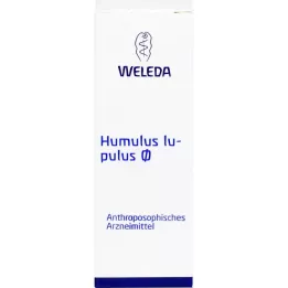 HUMULUS Lupulus moedertinctuur, 50 ml