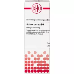 ACTAEA SPICATA D 6 Verdunning, 20 ml