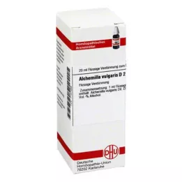 ALCHEMILLA VULGARIS D 2 Verdunning, 20 ml