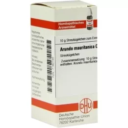 ARUNDO mauritanica C 30 bolletjes, 10 g