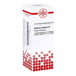 ASTERIAS RUBENS D 6 Verdunning, 20 ml