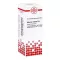 ASTERIAS RUBENS D 6 Verdunning, 20 ml