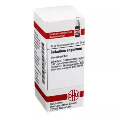 CALADIUM seguinum D 12 bolletjes, 10 g CALADIUM seguinum D 12 bolletjes, 10 g