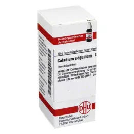 CALADIUM seguinum D 6 bolletjes, 10 g