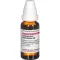 CAULOPHYLLUM THALICTROIDES C 6 Verdunning, 20 ml