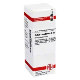 CISTUS CANADENSIS D 12 Verdunning, 20 ml
