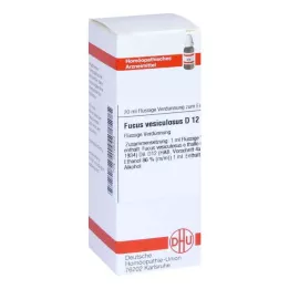 FUCUS VESICULOSUS D 12 Verdunning, 20 ml