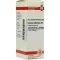 KALIUM SULFURICUM Verdunning D 8, 20 ml