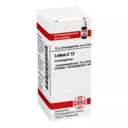 LEDUM C 12 bolletjes, 10 g
