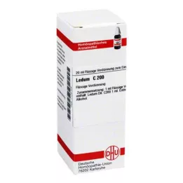 LEDUM C 200 Verdunning, 20 ml