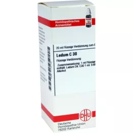 LEDUM C 30 verdunning, 20 ml