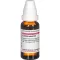 LEMNA kleine verdunning D 4, 20 ml