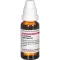 LEVISTICUM OFFICINALIS Verdunning D 4, 20 ml