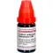 CALCIUM CARBONICUM Hahnemanni LM I Verdunning, 10 ml