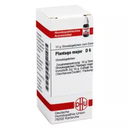 PLANTAGO MAJOR D 6 bolletjes, 10 g