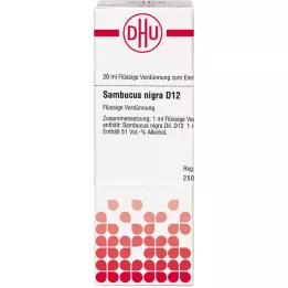 SAMBUCUS NIGRA D 12 Verdunning, 20 ml