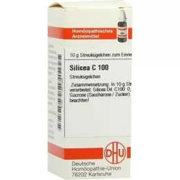 SILICEA C 100 bolletjes, 10 g