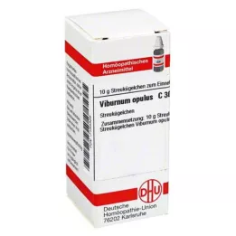 VIBURNUM OPULUS C 30 bolletjes, 10 g