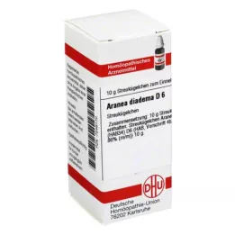 ARANEA DIADEMA D 6 bolletjes, 10 g