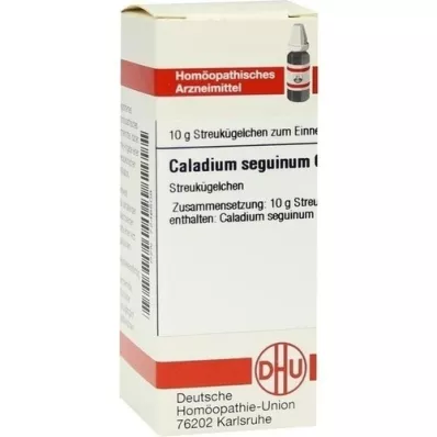 CALADIUM seguinum C 6 bolletjes, 10 g