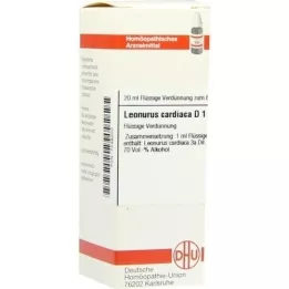 LEONURUS CARDIACA D 1 Verdunning, 20 ml