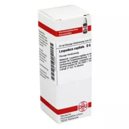 LESPEDEZA CAPITATA D 6 Verdunning, 20 ml