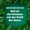 BRONCHOFORTON Zalf, 100 g