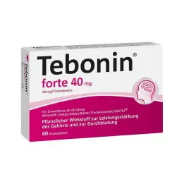 TEBONIN forte 40 mg filmomhulde tabletten, 60 st