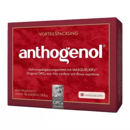 OPC ORIGINAL Masqueliers Anthogenol Capsules, 90 stuks