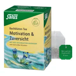 BACHBLÜTEN TEE Motivatie &amp; Vertrouwen Organische Salus, 15 stuks