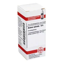 DHU Actaea spicata D 6 bolletjes, 10 g