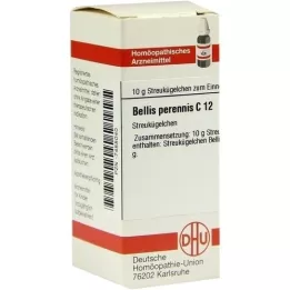 BELLIS PERENNIS C 12 bolletjes, 10 g