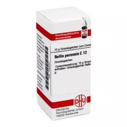 BELLIS PERENNIS C 12 bolletjes, 10 g
