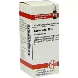 CASTOR equi D 12 bolletjes, 10 g