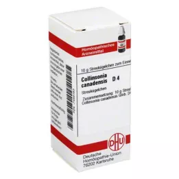 COLLINSONIA CANADENSIS D 4 bolletjes, 10 g