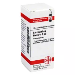 LACHNANTHES tinctoria C 30 bolletjes, 10 g