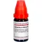 ARSENICUM ALBUM LM I Verdunning, 10 ml