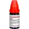 RHUS TOXICODENDRON LM II Verdunning, 10 ml