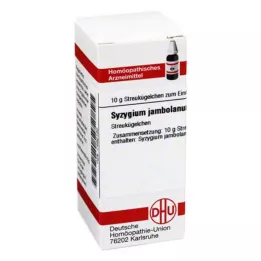DHU Syzygium jambolanum D 2 bolletjes, 10 g