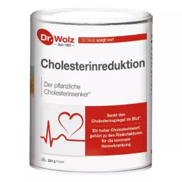 CHOLESTERINREDUKTION Dr.Wolz Poeder, 224 g