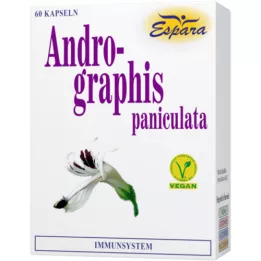 ANDROGRAPHIS paniculata capsules, 60 stuks