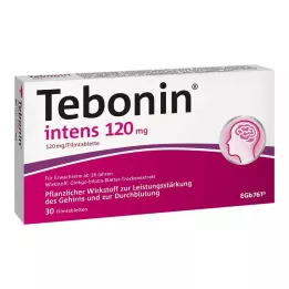TEBONIN intensieve 120 mg filmomhulde tabletten, 30 stuks