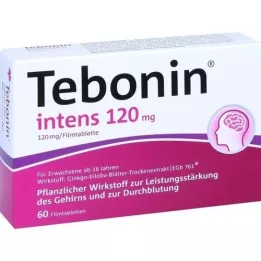TEBONIN intensieve 120 mg filmomhulde tabletten, 60 stuks