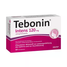 TEBONIN intensieve 120 mg filmomhulde tabletten, 60 stuks