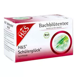 H&amp;S Bach Bloemen Studentengeluk Thee Filterzakje, 20X3.0 g