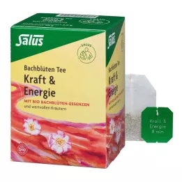 BACHBLÜTEN TEE Vermogen &amp; Energie Bio Salus Fbtl., 15 st